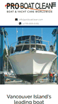 Mobile Screenshot of proboatclean.com
